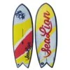 Planche Windsurf/Windfoil/Wing/SUP SEALION Strapped 2022
